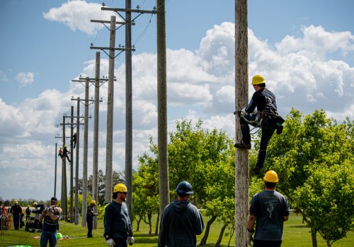 Participants in the Lineman's Rodeo in Winnipeg demonstrate advanced techniques and safety measures, highlighting the expertise required in the profession. Several Linemen compete at the same time in a long line of electrical poles while their colleagues and family watch.