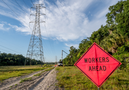 utility vegetation management