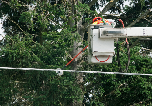 Man in cherry picker with electric saw cutting Douglas fir branches away from power lines